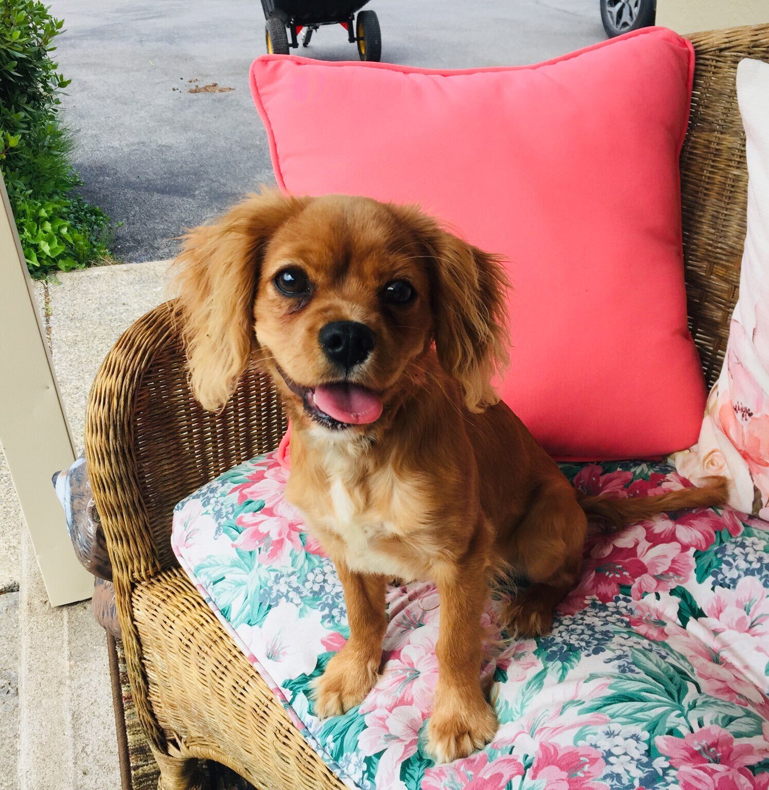 Marley