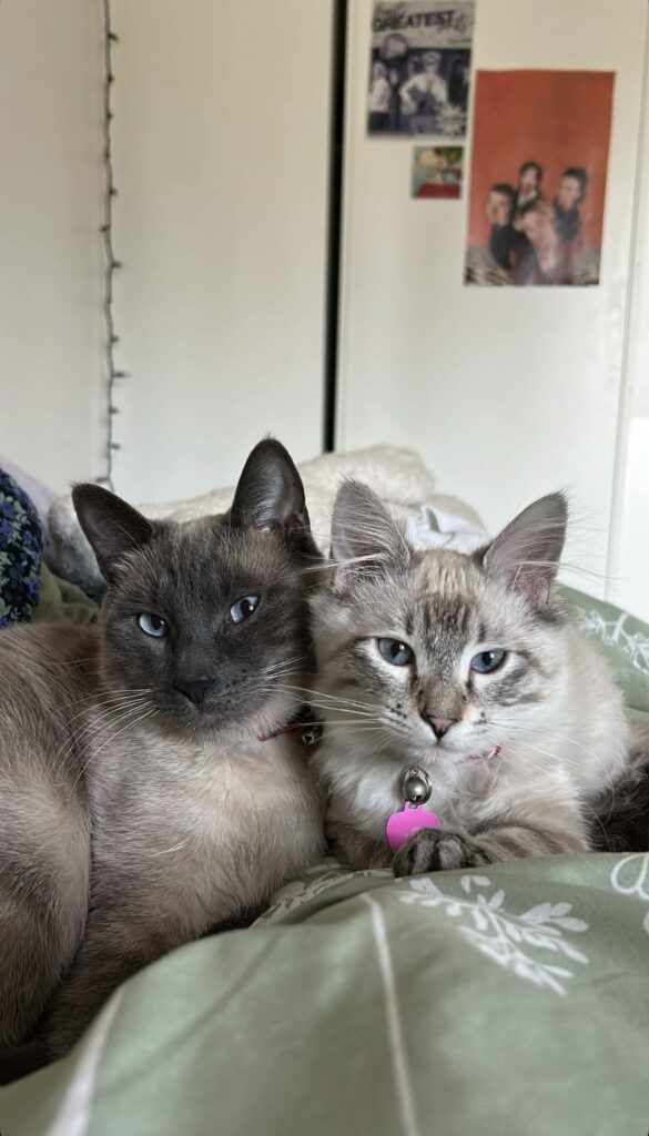 Thor and Juno