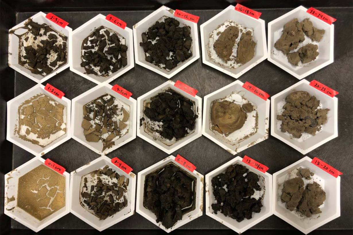 Sediments from Bedford Basin were analyzed for C, N, Th, and Pb isotopes to help ‘balance’ the budget