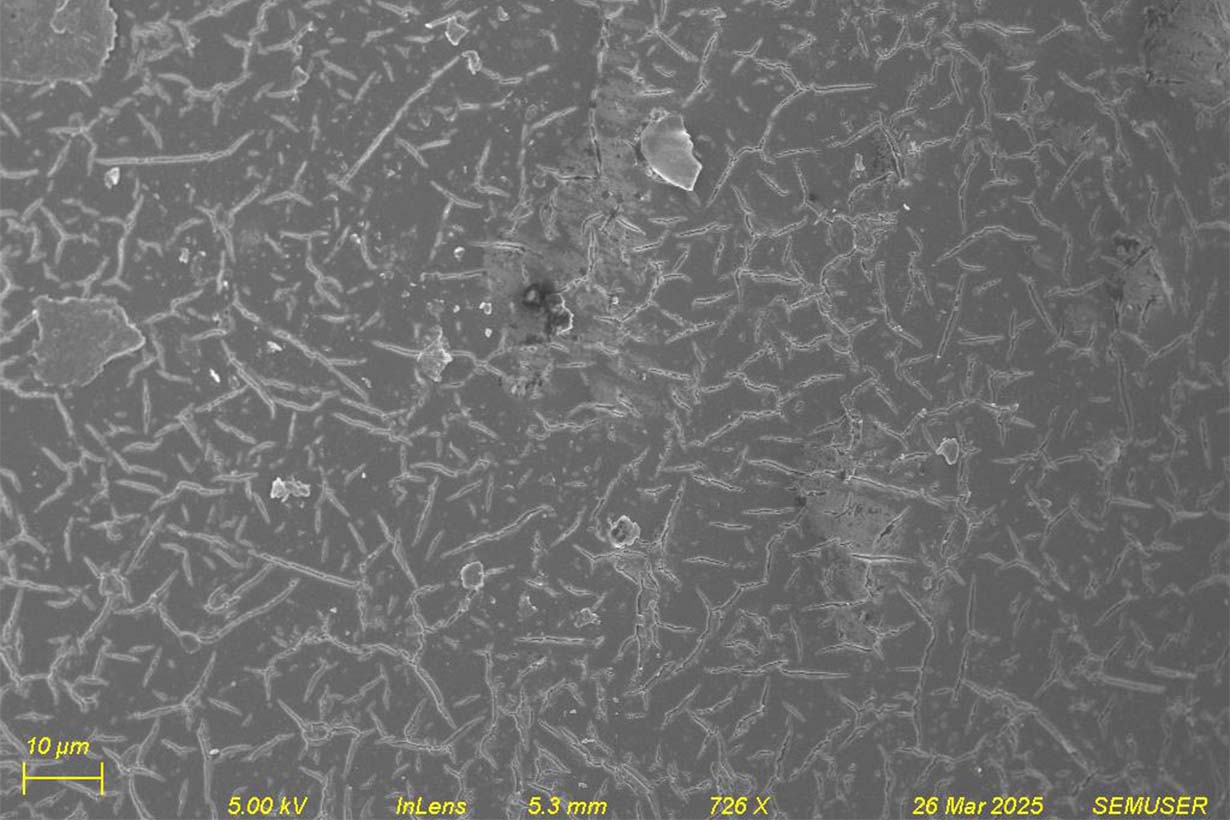 SEM image of cracks on the surface of an aged microplastic being use for sorption experiments (photo: Mariya Cyriac)