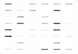 2_slot32sec